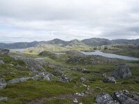 N, Finnmark, Nordkapp, Gjesvaer 34, Saxifraga-Willem van Kruijsbergen