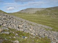 N, Finnmark, Nordkapp, Honningsvag 10, Saxifraga-Willem van Kruijsbergen