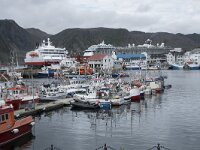 N, Finnmark, Nordkapp, Honningsvag 6, Saxifraga-Willem van Kruijsbergen