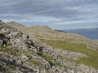 N, Finnmark, Nordkapp, Honningsvag, Storfjellet 11, Saxifraga-Willem van Kruijsbergen