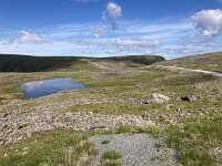 N, Finnmark, Nordkapp, Nordkapp 12, Saxifraga-Willem van Kruijsbergen