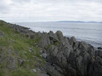 N, Finnmark, Nordkapp, Nordvagen 11, Saxifraga-Willem van Kruijsbergen