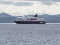 N, Finnmark, Nordkapp, Nordvagen 16, Saxifraga-Willem van Kruijsbergen