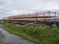 N, Finnmark, Nordkapp, Nordvagen 6, Saxifraga-Willem van Kruijsbergen