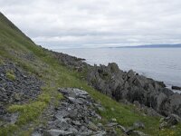 N, Finnmark, Nordkapp, Nordvagen 9, Saxifraga-Willem van Kruijsbergen