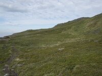 N, Finnmark, Nordkapp, Skarsvag 15, Saxifraga-Willem van Kruijsbergen