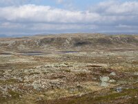 N, Hordaland, Eidfjord, Dyranut 19, Saxifraga-Willem van Kruijsbergen