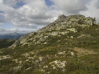 N, Innlandet, Sel, Klufttjonne 2, Saxifraga-Willem van Kruijsbergen