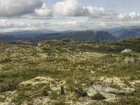 N, Innlandet, Sel, Klufttjonne 5, Saxifraga-Willem van Kruijsbergen