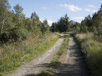 N, More og Romsdal, Fraena, Hustad 2, Saxifraga-Willem van Kruijsbergen