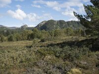 N, More og Romsdal, Fraena, Hustad 6, Saxifraga-Willem van Kruijsbergen