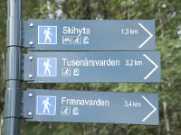 N, More og Romsdal, Molde, Tusenarsvarden 1, Saxifraga-Willem van Kruijsbergen