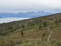 N, More og Romsdal, Molde, Tusenarsvarden 12, Saxifraga-Willem van Kruijsbergen