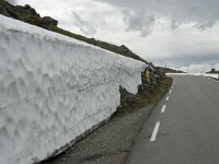N, Sogn og Fjordane, Luster, Jotunheimen 1, Saxifraga-Willem van Kruijsbergen