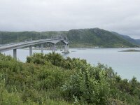 N, Troms, Tromso, Sommaroy 1, Saxifraga-Willem van Kruijsbergen