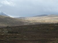 N, Trondelag, Oppdal, Gronbakken 18, Saxifraga-Willem van Kruijsbergen