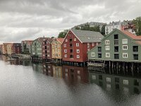 N, Trondelag, Trondheim 12, Saxifraga-Willem van Kruijsbergen