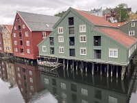 N, Trondelag, Trondheim 13, Saxifraga-Willem van Kruijsbergen