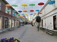 N, Trondelag, Trondheim 17, Saxifraga-Willem van Kruijsbergen