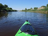 PL, Mazowieckie, Laskowiec, Narev 17, Saxifraga-Hans Dekker