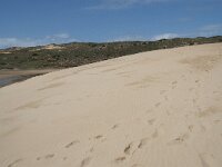 P, Faro, Aljezur, Carrapateira, Praia da Bordeira 17, Saxifraga-Willem van Kruijsbergen