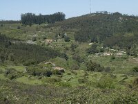 P, Faro, Monchique, Foia 30, Saxifraga-Willem van Kruijsbergen