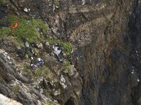 P, Faro, Vila do Bispo, Cabo Sao Vicente 2, Saxifraga-Willem van Kruijsbergen