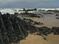 P, Faro, Vila do Bispo, Castelejo 17, Saxifraga-Jan van der Straaten - kopie