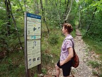 SLO, Obalnokraska, Divaca, Matavun 3, Saxifraga-Hans Dekker