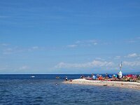 SLO, Primorska, Izola 4, Saxifraga-Hans Dekker