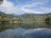 E, Avila, Arenas de San Pedro 2, Saxifraga-Willem van Kruijsbergen