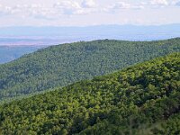 E, Avila, Guisando, near village 4, Saxifraga-Tom Heijnen