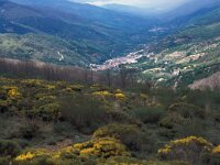 E, Caceres, Tornavacas, Puerto de Tornavacas 5, Saxifraga-Jan van der Straaten