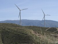 E, Granada, Lanjaron 2, Saxifraga-Jan van der Straaten