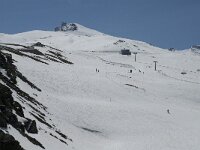 E, Granada, Monachil, Pradollano 10, Saxifraga-Jan van der Straaten