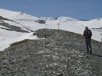 E, Granada, Monachil, Pradollano 19, Saxifraga-Jan van der Straaten