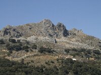 E, Malaga, Algatocin 3, Saxifraga-Willem van Kruijsbergen