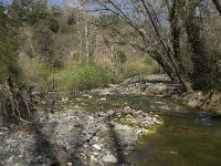 E, Malaga, Algatocin, Rio Seco 1, Saxifraga-Willem van Kruijsbergen