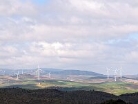E, Malaga, Alora, El Chorro 4, Saxifraga-Hans Dekker