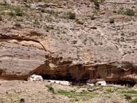 E, Malaga, Alora, El Chorro 5, Saxifraga-Hans Dekker