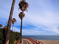E, Malaga, Mijas, Sitia de Calahonda 3, Saxifraga-Hans Dekker