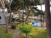 E, Malaga, Mijas, Sitia de Calahonda 5, Saxifraga-Hans Dekker