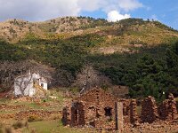 E, Malaga, Ronda, Sierra de las Nievas 7, Saxifraga-Hans Dekker
