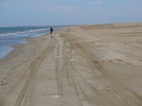 E, Tarragona, Deltebre, El Fangar 2, Saxifraga-Jan van der Straaten