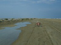 E, Tarragona, Deltebre, Punta de la Banya 7, Saxifraga-Jan van der Straaten