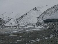 CH, Wallis, Saas Almagell, Mattmark 50, Saxifraga-Willem van Kruijsbergen