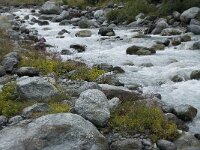 CH, Wallis, Saas Almagell, Saaservispa 1, Saxifraga-Willem van Kruijsbergen