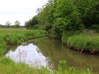 NL, Drenthe, Aa en Hunze, Deurzerdiep 34, Saxifraga-Hans Boll