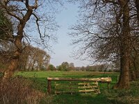 NL, Drenthe, Aa en Hunze, Geelbroek 9, Saxifraga-Hans Dekker
