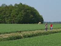 NL, Drenthe, Borger-Odoorn, Bronneger 3, Saxifraga-Hans Dekker